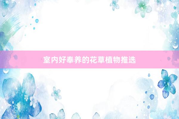 室内好奉养的花草植物推选