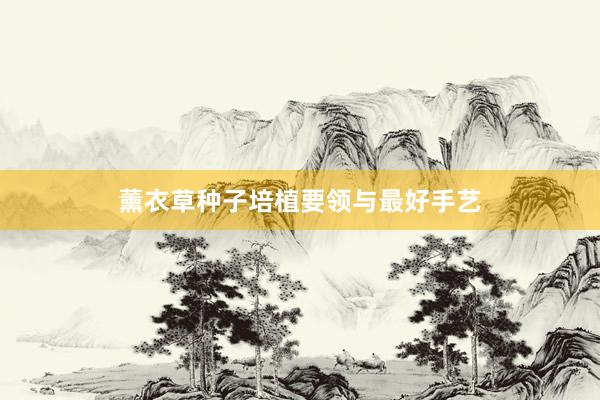 薰衣草种子培植要领与最好手艺