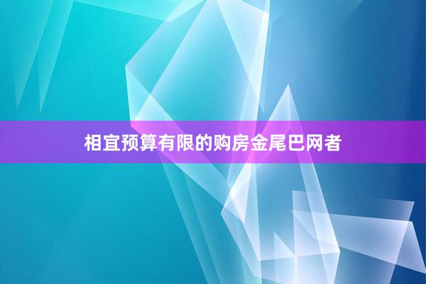 相宜预算有限的购房金尾巴网者