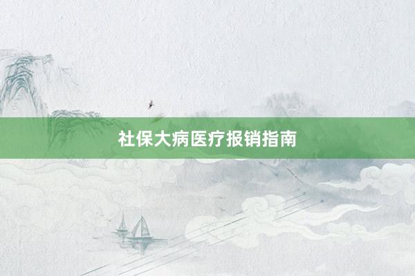 社保大病医疗报销指南