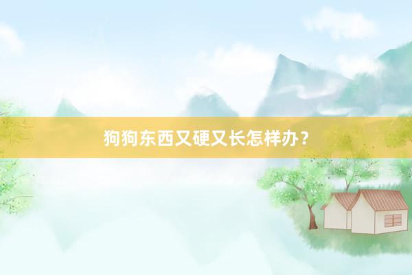狗狗东西又硬又长怎样办？