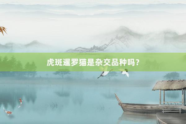 虎斑暹罗猫是杂交品种吗?