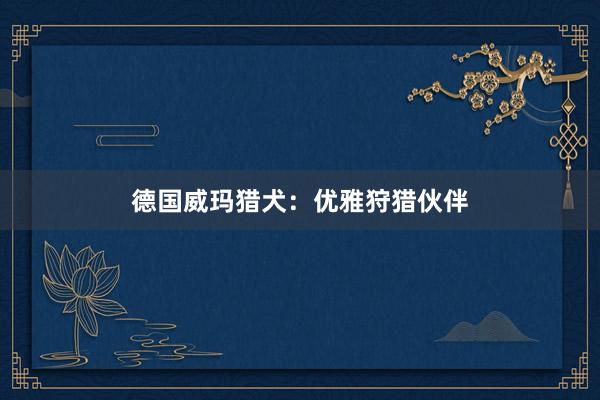 德国威玛猎犬：优雅狩猎伙伴